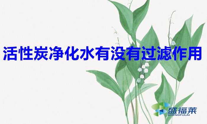 活性炭?jī)艋袥]有過濾作用（活性炭在凈水行業(yè)的應(yīng)用）