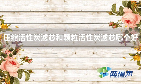 壓縮活性炭濾芯和顆?；钚蕴繛V芯哪個(gè)好 好在哪里？