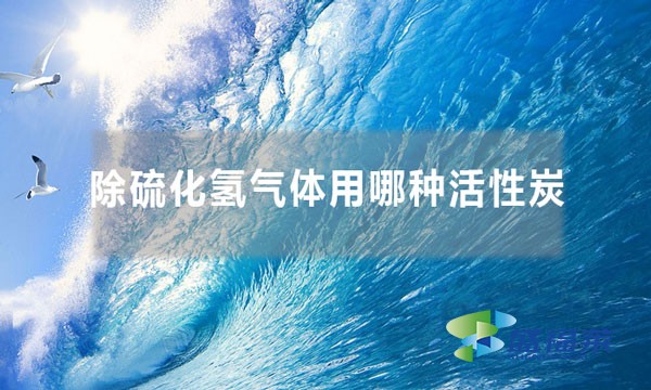 除硫化氫氣體用哪種活性炭