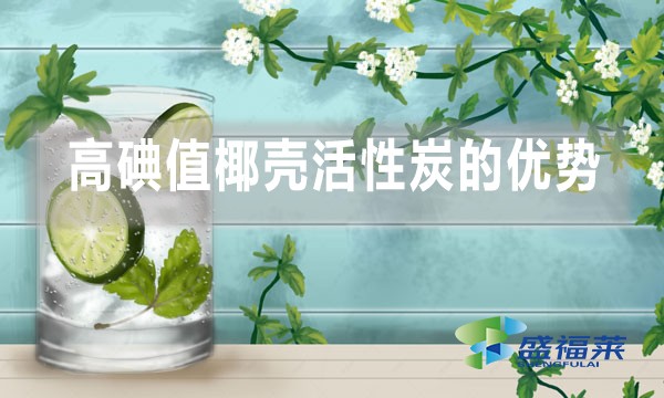 高碘值椰殼活性炭在飲用水處理中的優(yōu)勢(shì)以及缺點(diǎn)