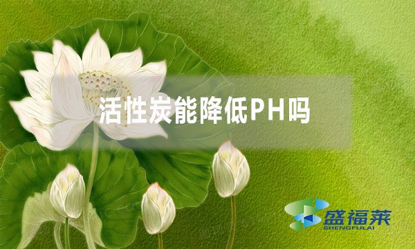 活性炭能降低PH嗎？為什么？