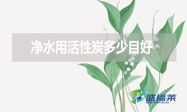 凈水用活性炭多少目好？有哪些優(yōu)缺點？