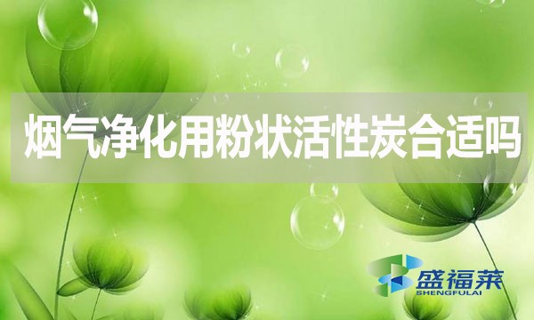 煙氣凈化用粉狀活性炭合適嗎？