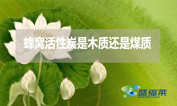 蜂窩活性炭是木質(zhì)還是煤質(zhì)？哪種好？