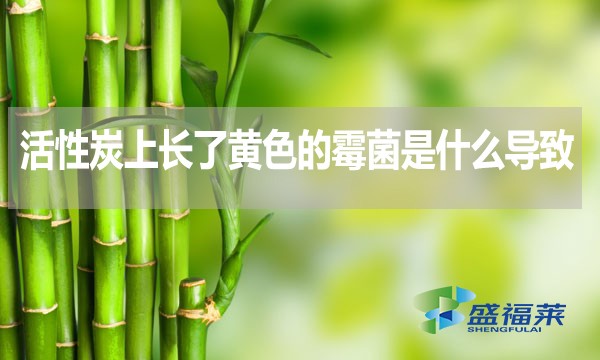 活性炭上長(zhǎng)了黃色的霉菌是什么導(dǎo)致的？還能不能使用？